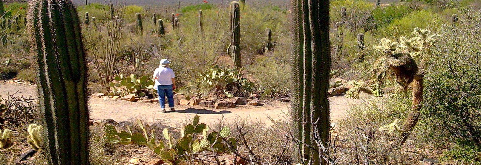 Aventura y Ecoturismo en sonora